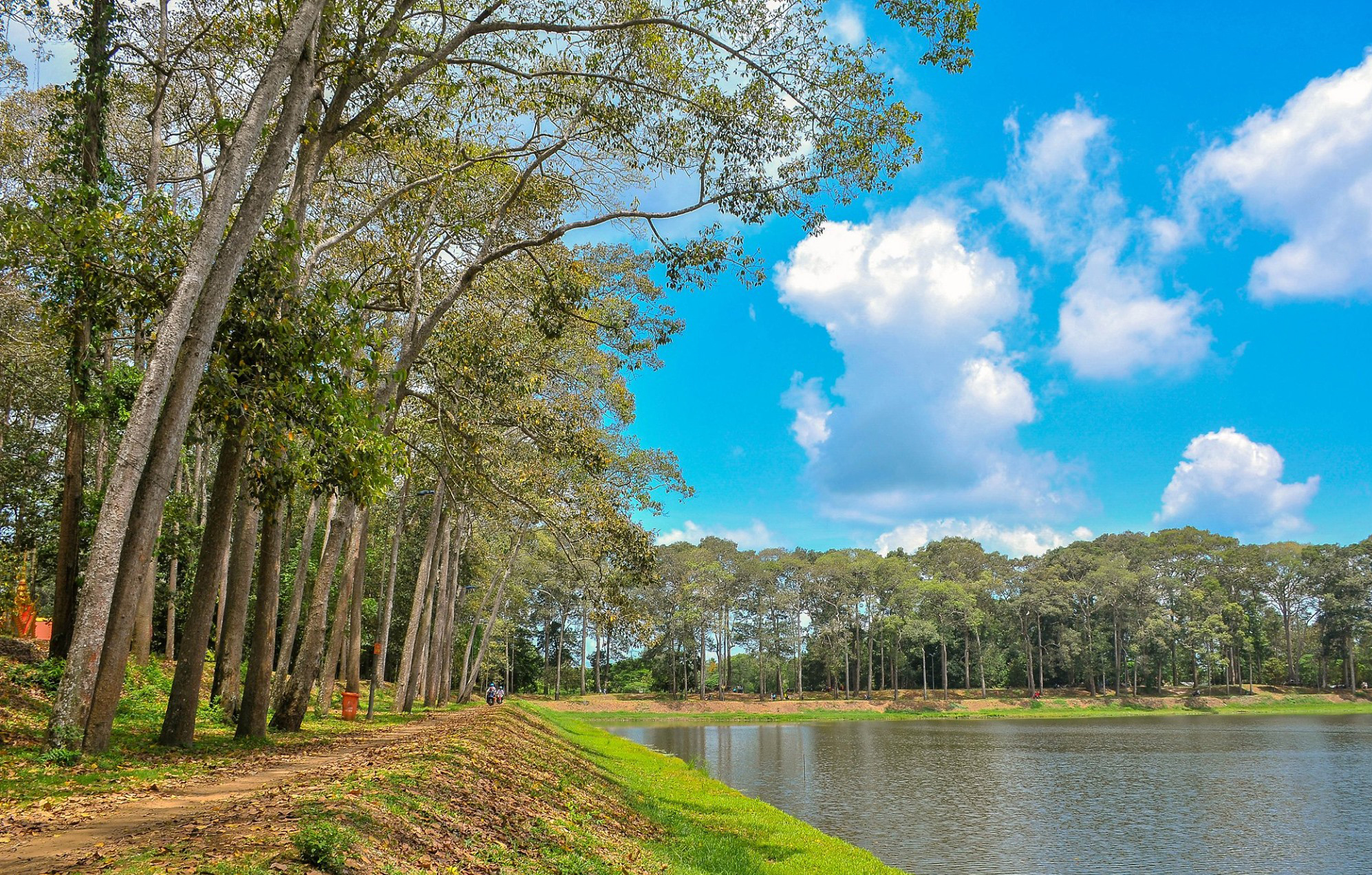 Khám phá thắng cảnh Ao Bà Om và ốc đảo Cồn Chim khi bạn đã chán Thành phố!